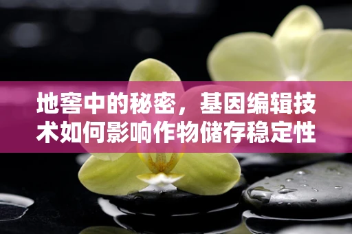 地窖中的秘密，基因编辑技术如何影响作物储存稳定性？