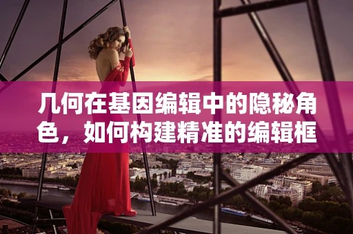 几何在基因编辑中的隐秘角色，如何构建精准的编辑框架？