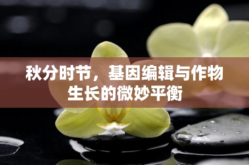 秋分时节，基因编辑与作物生长的微妙平衡