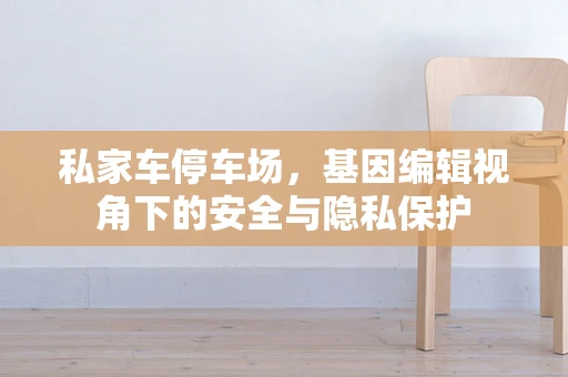 私家车停车场，基因编辑视角下的安全与隐私保护