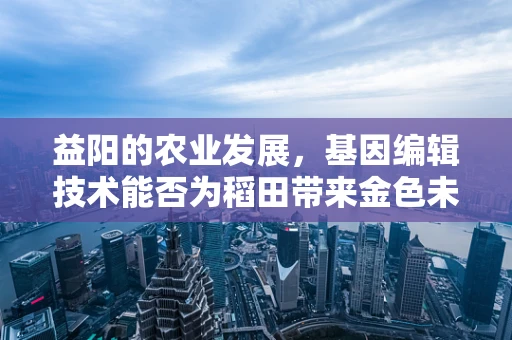益阳的农业发展，基因编辑技术能否为稻田带来金色未来？