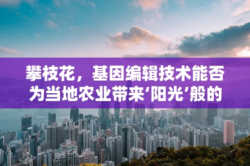 攀枝花，基因编辑技术能否为当地农业带来‘阳光’般的变革？