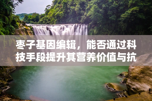 枣子基因编辑，能否通过科技手段提升其营养价值与抗逆性？