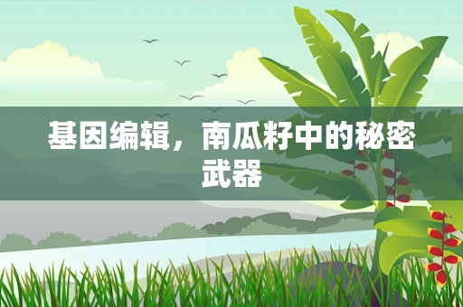 基因编辑，南瓜籽中的秘密武器