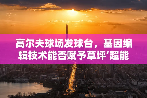 高尔夫球场发球台，基因编辑技术能否赋予草坪‘超能力’？