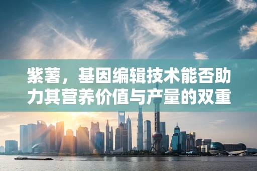 紫薯，基因编辑技术能否助力其营养价值与产量的双重提升？