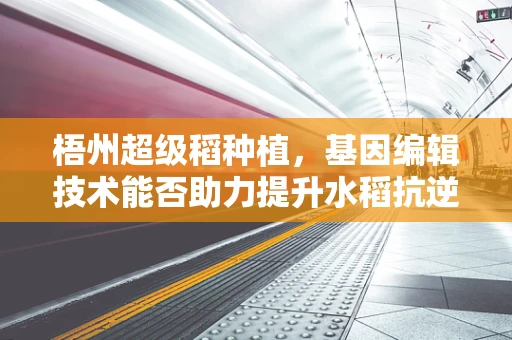 梧州超级稻种植，基因编辑技术能否助力提升水稻抗逆性？