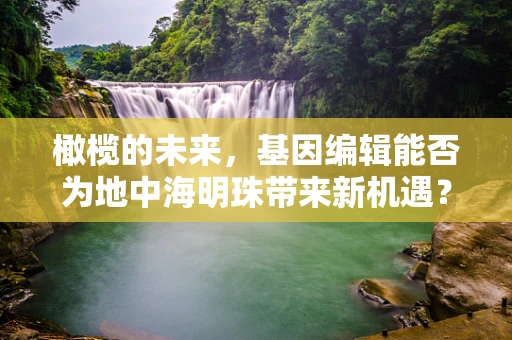 橄榄的未来，基因编辑能否为地中海明珠带来新机遇？
