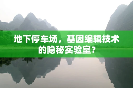 地下停车场，基因编辑技术的隐秘实验室？