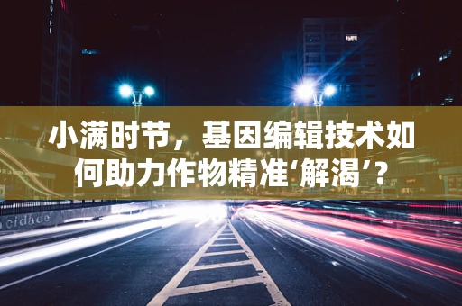 小满时节，基因编辑技术如何助力作物精准‘解渴’？