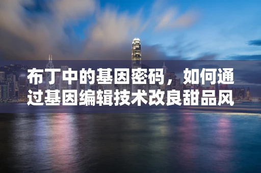 布丁中的基因密码，如何通过基因编辑技术改良甜品风味？