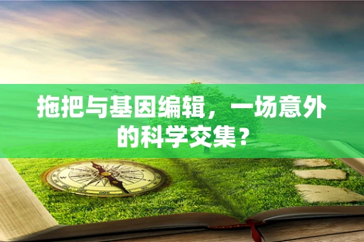 拖把与基因编辑，一场意外的科学交集？
