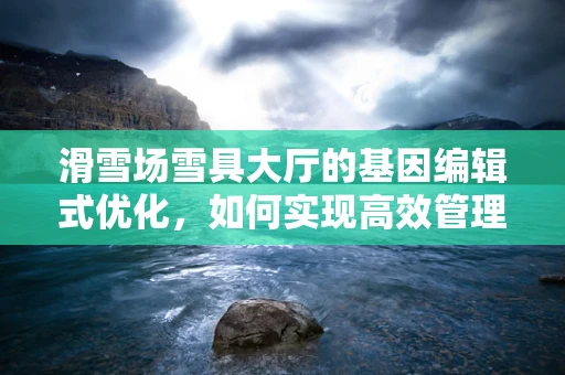 滑雪场雪具大厅的基因编辑式优化，如何实现高效管理？