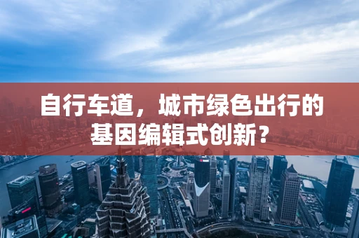 自行车道，城市绿色出行的基因编辑式创新？