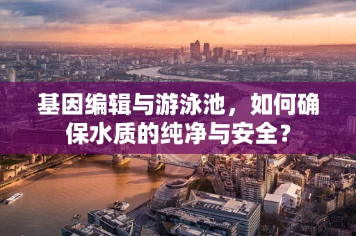 基因编辑与游泳池，如何确保水质的纯净与安全？