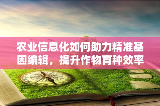农业信息化如何助力精准基因编辑，提升作物育种效率？
