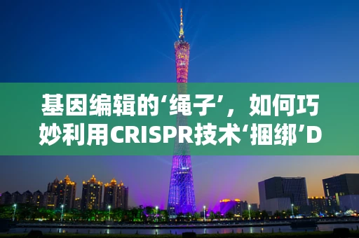 基因编辑的‘绳子’，如何巧妙利用CRISPR技术‘捆绑’DNA？