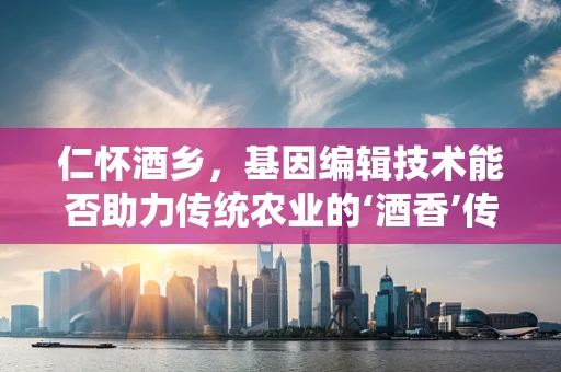 仁怀酒乡，基因编辑技术能否助力传统农业的‘酒香’传承？