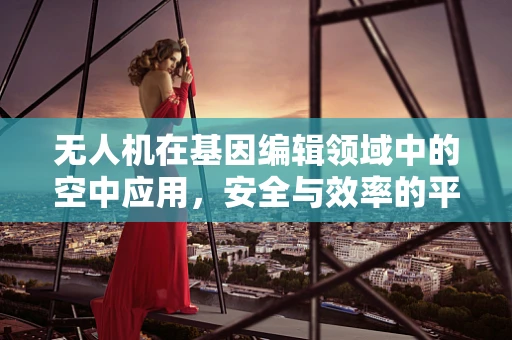 无人机在基因编辑领域中的空中应用，安全与效率的平衡挑战？