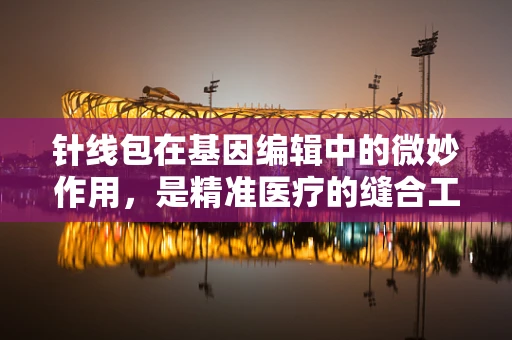 针线包在基因编辑中的微妙作用，是精准医疗的缝合工具还是伦理争议的导火索？