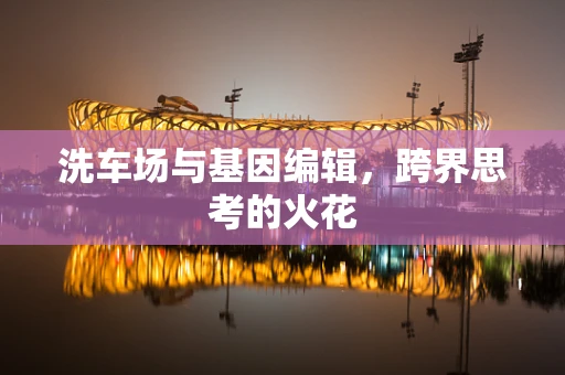 洗车场与基因编辑，跨界思考的火花