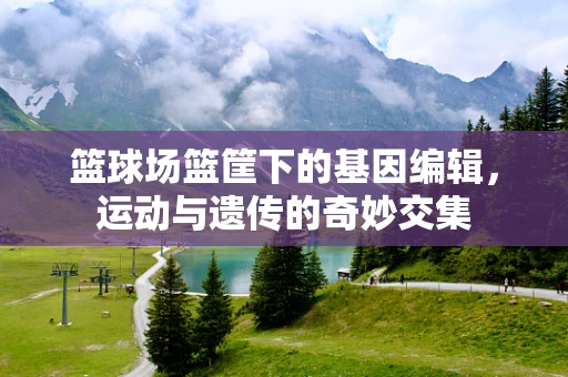 篮球场篮筐下的基因编辑，运动与遗传的奇妙交集