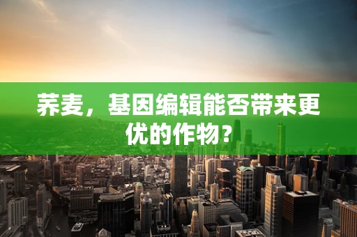 荞麦，基因编辑能否带来更优的作物？