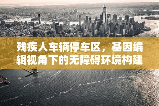 残疾人车辆停车区，基因编辑视角下的无障碍环境构建