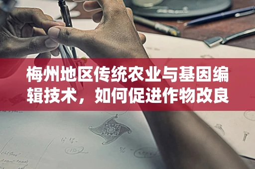 梅州地区传统农业与基因编辑技术，如何促进作物改良与可持续发展？