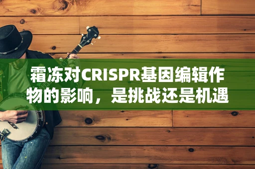 霜冻对CRISPR基因编辑作物的影响，是挑战还是机遇？