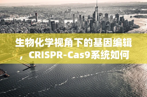 生物化学视角下的基因编辑，CRISPR-Cas9系统如何精准剪切DNA？