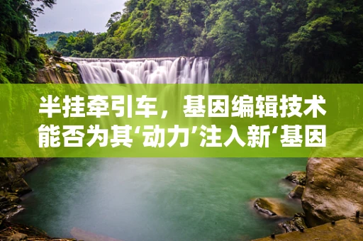 半挂牵引车，基因编辑技术能否为其‘动力’注入新‘基因’？