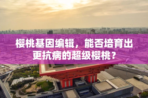 樱桃基因编辑，能否培育出更抗病的超级樱桃？