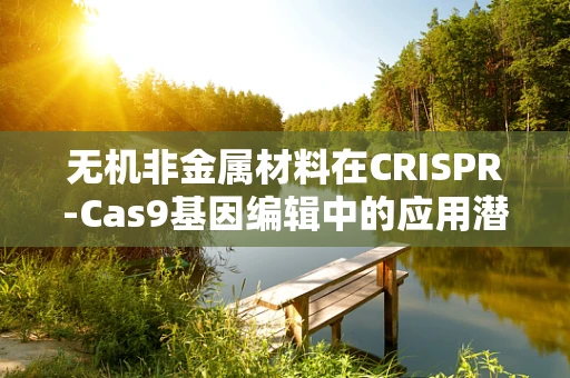 无机非金属材料在CRISPR-Cas9基因编辑中的应用潜力，是辅助工具还是未来趋势？