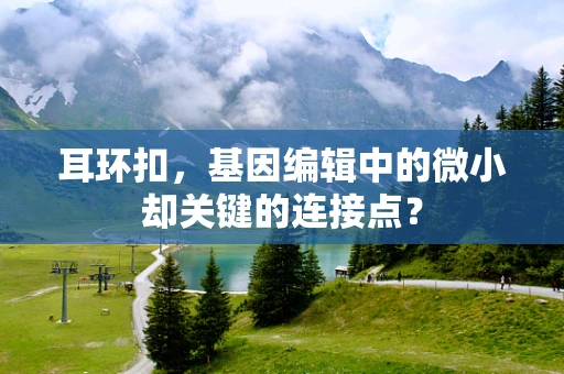 耳环扣，基因编辑中的微小却关键的连接点？
