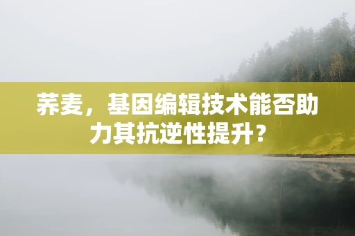 荞麦，基因编辑技术能否助力其抗逆性提升？