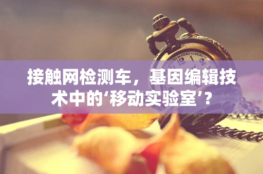 接触网检测车，基因编辑技术中的‘移动实验室’？