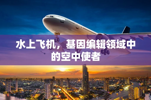 水上飞机，基因编辑领域中的空中使者