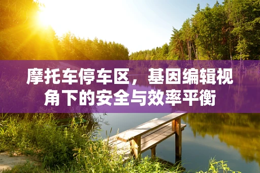 摩托车停车区，基因编辑视角下的安全与效率平衡
