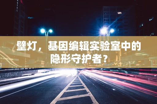 壁灯，基因编辑实验室中的隐形守护者？