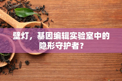 壁灯，基因编辑实验室中的隐形守护者？