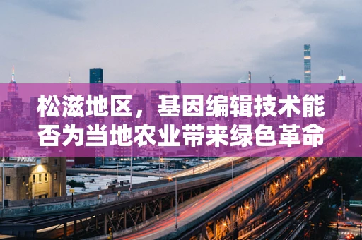 松滋地区，基因编辑技术能否为当地农业带来绿色革命？