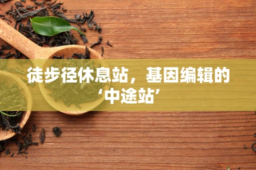 徒步径休息站，基因编辑的‘中途站’