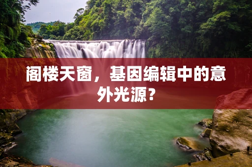 阁楼天窗，基因编辑中的意外光源？