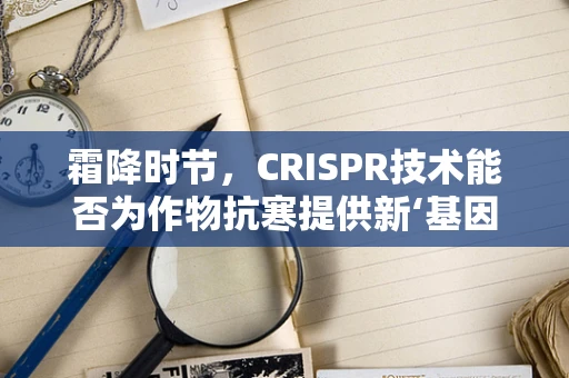 霜降时节，CRISPR技术能否为作物抗寒提供新‘基因锁’？