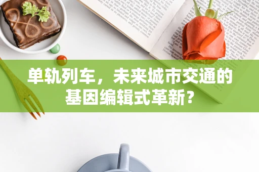 单轨列车，未来城市交通的基因编辑式革新？