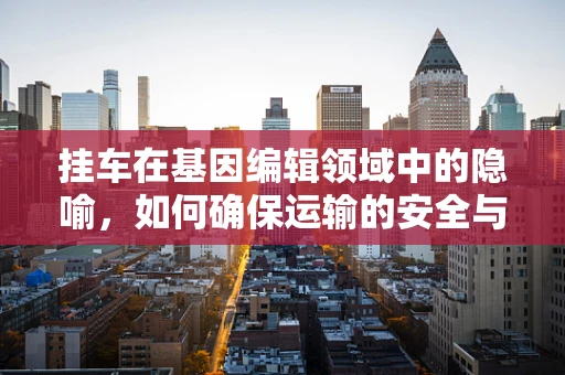 挂车在基因编辑领域中的隐喻，如何确保运输的安全与高效？