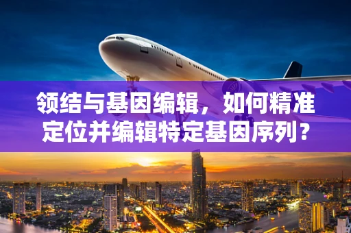 领结与基因编辑，如何精准定位并编辑特定基因序列？