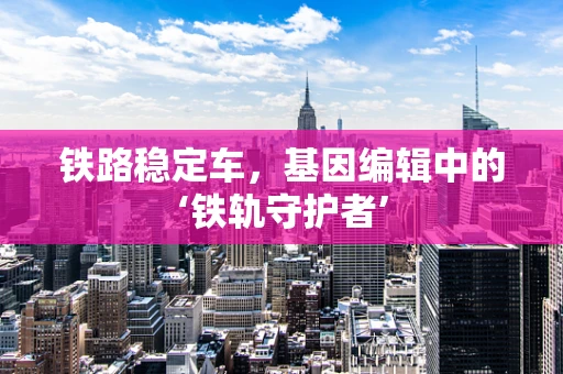 铁路稳定车，基因编辑中的‘铁轨守护者’