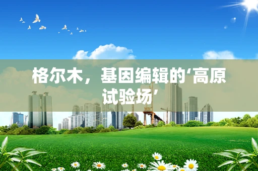 格尔木，基因编辑的‘高原试验场’